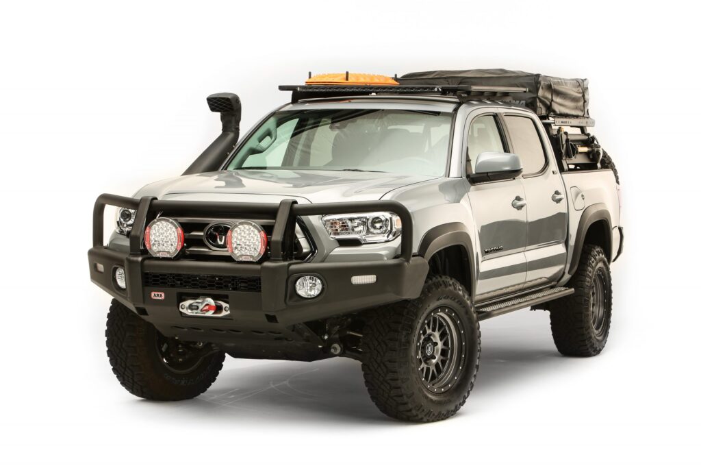 safari travel guide