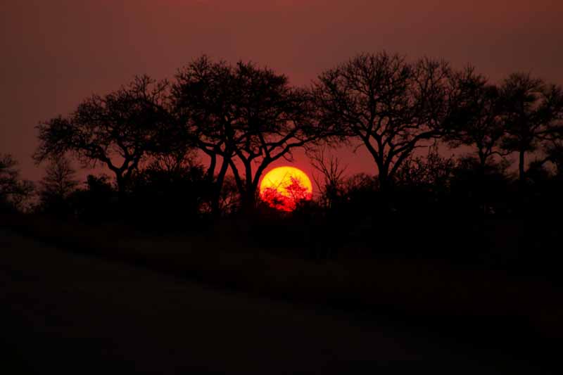 African Sunset